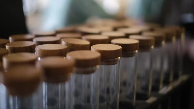 A lot of empty glass bottle jars for storage, kitchen items, organizers for home on the shelf in the store 