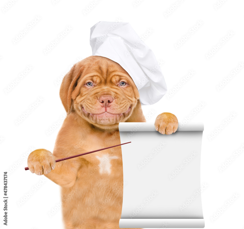 Poster happy mastiff puppy wearing chef's hat points on empty list. isolated on white background