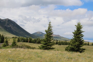 Summer Lands, Waterton Lakes National Park, Alberta