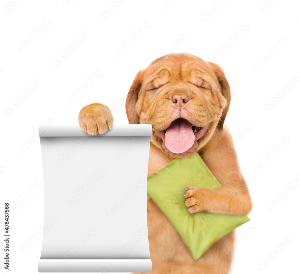 Poster Yawning Mastiff puppy with closed eyes holds a pillow and shows empty list.  isolated on white background