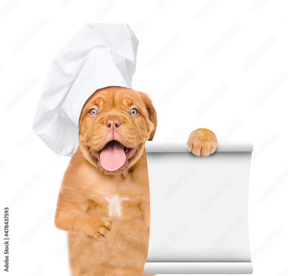 Poster happy mastiff puppy wearing chef's hat shows empty list. isolated on white background