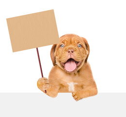 Happy puppy looks above empty white banner and holds blank banner mock up on wood stick. isolated on white background