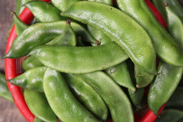 Closeup view of a bunch of fresh green beans