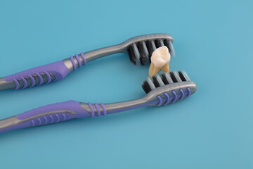 Toothbrush and a tooth on blue background