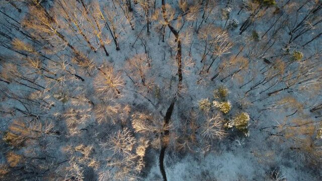 Little bennet regional park in winter - Maryland