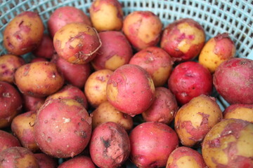 Fresh red potatoes on a bowl