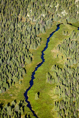 Boreal Forest Nunavik Quebec Canada