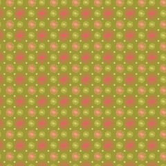 Flor de Quinua Primavera