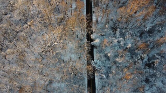 Little bennet regional park in winter - Maryland