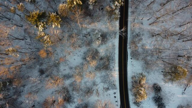 Little bennet regional park in winter - Maryland