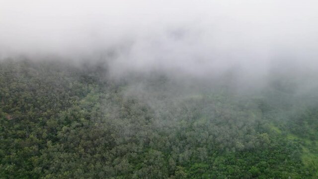 Drone shot of clouds and mist hanging over green Australian mountain with gumtrees