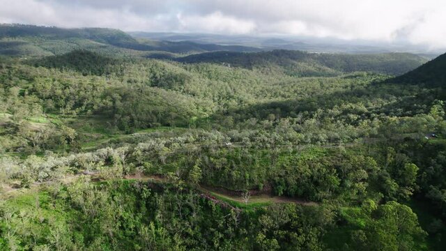 Drone shot of two vehicles driving along single track road through green gumtrees in Australian rainforest landscape