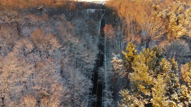Little bennet regional park in winter - Maryland