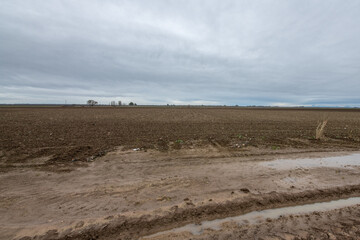 Muddy field