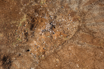Bones Maasai Amboseli Park Game Reserve Kenya