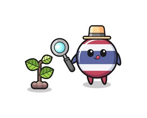cute thailand flag herbalist researching a plants