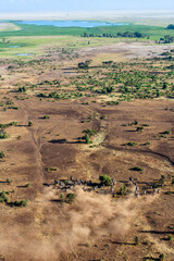 Elephant Herd Migrating Across Maasai Amboseli Park Game Reserve Kenya