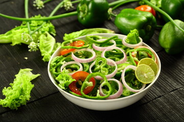 Homemade delicious vegetarian diet meal- fresh green capsicum salad.
