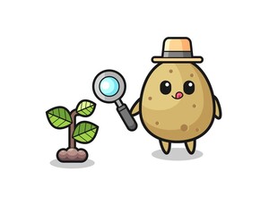 cute potato herbalist researching a plants