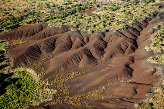 Scrubland Desert Tsavo West. Kenya.