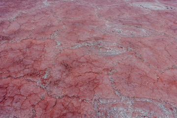 Flamingo Nests Lake Natron Tanzania