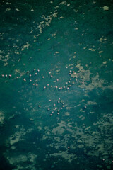 Banc d'Arguin National Park Sahara Desert Mauritania Africa