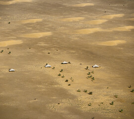 Fototapeta na wymiar Bedouin Nomad Camp Amatlîch Sahara Desert Mauritania Africa