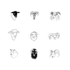 かわいい世界のいろんな品種の羊