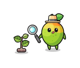 cute mango herbalist researching a plants