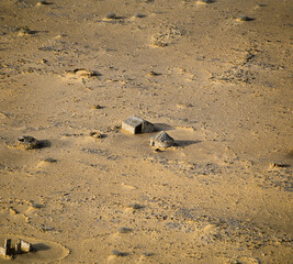 Sahara Desert Nterguent Village and Area Mauritania Africa