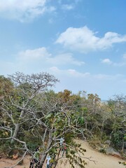 urban park