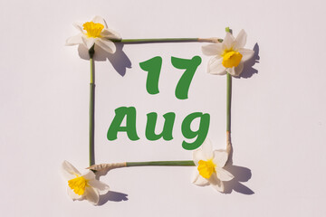 August 17th. Day 17 of month, calendar date. Frame from flowers of a narcissus on a light...