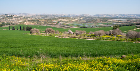 wide angle view of the Valley of Elah with the Judean mountains in the distance.