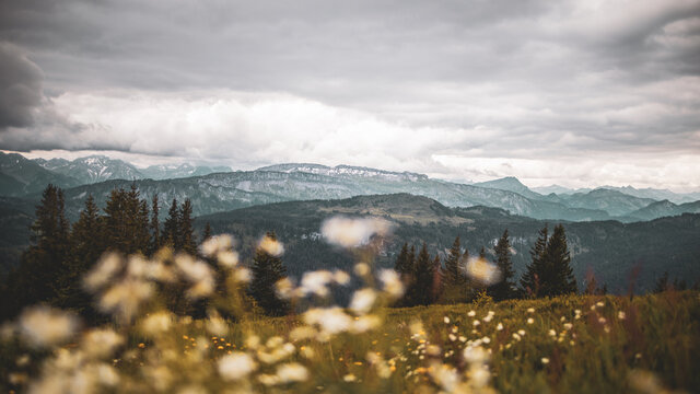 Allg&auml;uer Berge