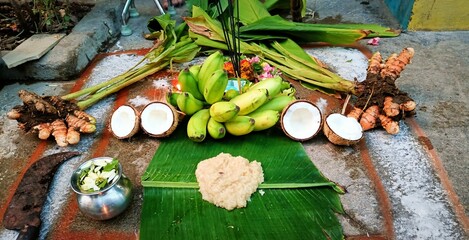 Indian traditional festival Pongal