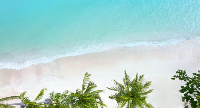 Aerial view of Sunny tropical beach background with palm trees and white sand beach seashore © SASITHORN