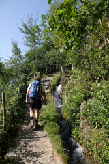 Fototapeta premium Partschinser Waalweg