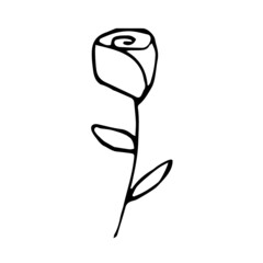One single rose. Flower of love. Simple vector illustration. Valentines day