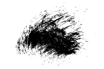 Ink black abstract paint stroke isolated on white background. Paint droplets. Digitally generated image. Vector design elements, illustration, EPS 10.