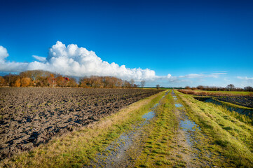 Landwirtschaftliche flächen