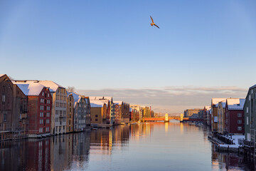 Fototapete bei efototapeten.de bestellen   