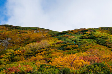 美しい日本の秋の山