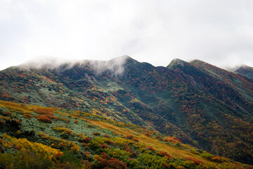 美しい日本の秋の山