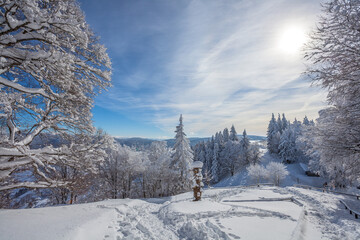 Obraz premium Winterlandschaft