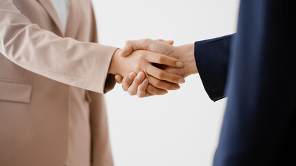 Fototapeta premium 握手をするビジネスマンとビジネスウーマン