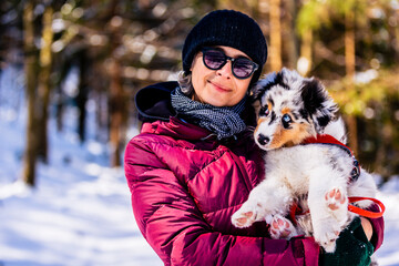 Cute Australian Shepherd puppy playing with a mature woman