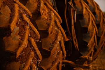 Combine harvester working on a potato field in Brazil. Harvesting potatoes. Agriculture concept