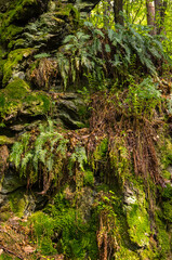 Rieger Trail, Bohemian Paradise, (Cesky Raj), Czech Republic
