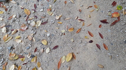 Small stones and sand and autumn leaves simple img 01