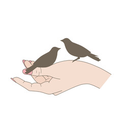 hand holding a birds